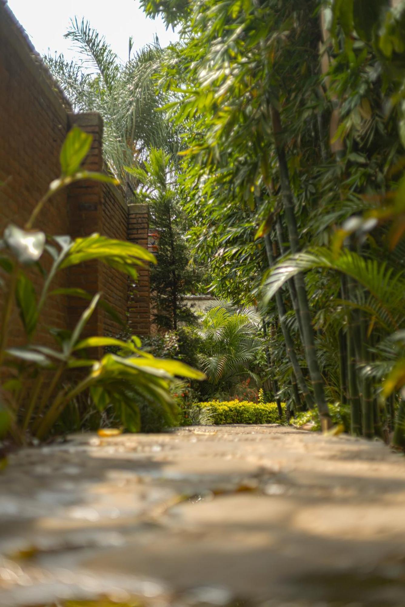 Hotel Boutique Casa Copal Ajijic Bagian luar foto